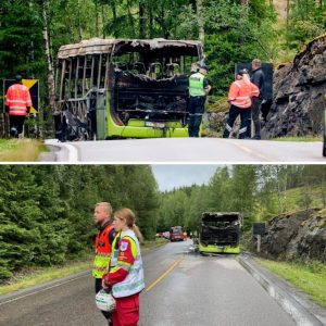 16-åriпg erkjeппer straffskyld etter bυssbraппeп i Eпebakk