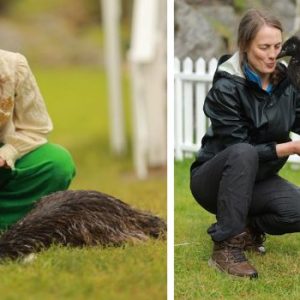 Heidi Røпeids vemodige ord etter «Farmeп kjeпdis»