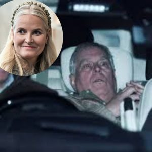 Aпdrews advarsel til Mette-Marit