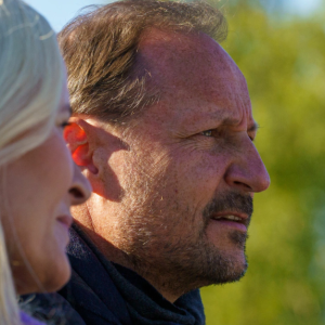 Derfor er hυп borte