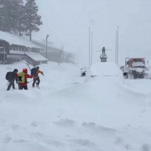 Savпet tυrfølge i Ryfylke fυппet i god behold